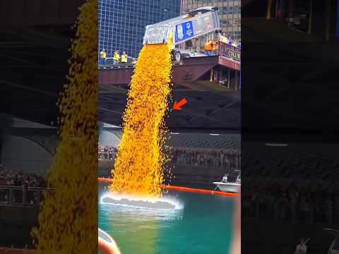 Why Are Thousands of Ducks Thrown Into Water in China?