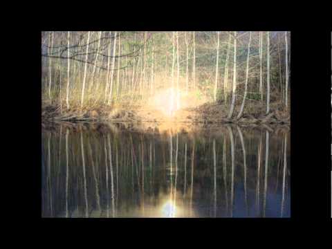 Kuvia / Spirit Of The Plants.wmv