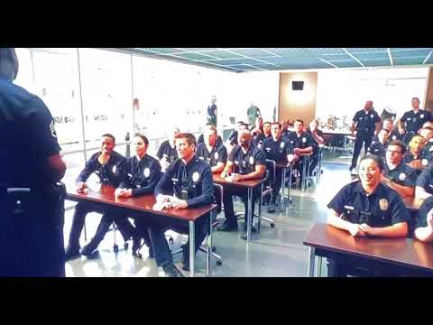 The rookies can wear short sleeves!