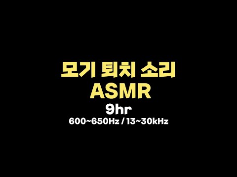 아이콘