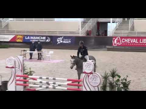 HELIOS D'HELBY*GFE - Testage SF étalons 3 ans