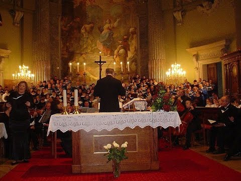 Segédpüspöki szentmise és CECÍLIA HANGVERSENY a váci Székesegyházban.