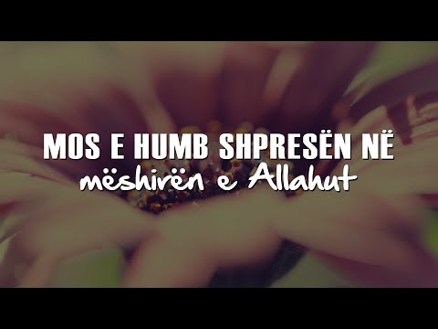 Mos e humb shpresën në mëshirën e Allahut ᴴᴰ┇EMOCIONALE┇