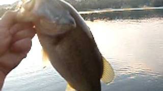 preview picture of video 'cold weather bass at Castaic Lagoon'