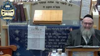 הרב יהושע ויזגן מסכת חולין דף עד עמוד א' המשך (בית הכנסת מוסאיוף) - התמונה מוצגת ישירות מתוך אתר האינטרנט יוטיוב. זכויות היוצרים בתמונה שייכות ליוצרה. קישור קרדיט למקור התוכן נמצא בתוך דף הסרטון