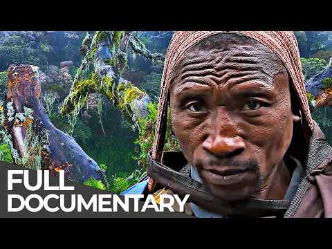 The Mountains That Look Like Another Planet | Uganda’s Rwenzori | Free Documentary