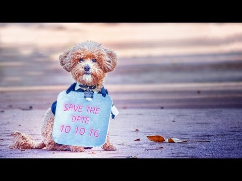 Train - Marry Me | Save the Date Cinematic Slideshow