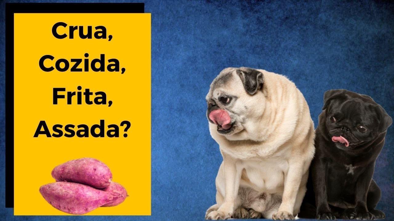 ✅    COMO PREPARAR A BATATA DOCE PARA CACHORRO? [ Formas de Preparo ]  🍠🍠🍠 🐶