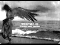 Mot (못) - Wings (날개)