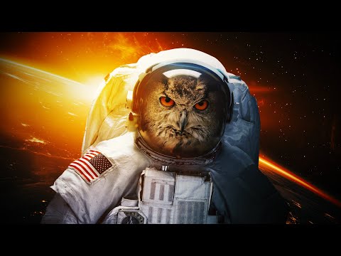 Going to Space in Fallout Tale of Two Wastelands