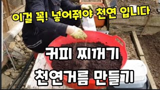 커피 찌꺼기로 천연거름 만들기 이걸 넣어주면 효과 대박!입니다~ #커피찌꺼기거름만들기 #커피찌꺼기발효 #le…