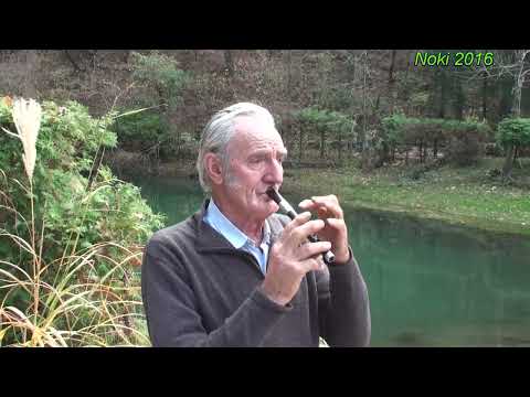 8.Petar Ljeparevic - Negotinsko kolo YUTUB