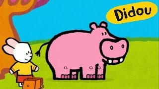 Hippopotame - Didou, dessine-moi un hippopotame |Dessins animés pour les enfants