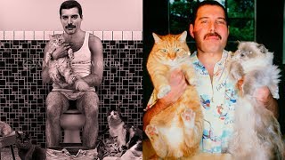 Freddie Mercury and His Cats