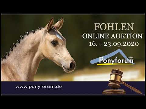 FRIEDRICHSHOF DONNA AMELIE SF v CTS Delgado - Nightfire