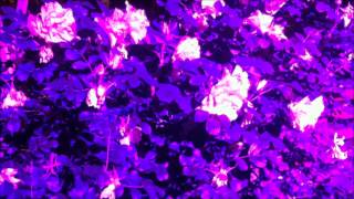 TRUST - Rescue, Mister (Mozart's Sister Remix)