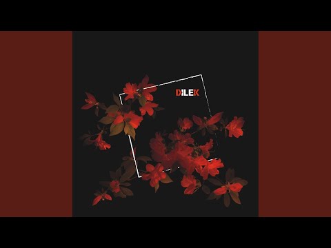 Woody Man (Original Mix)