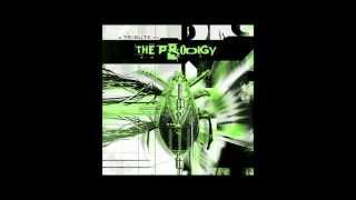 Funker Vogt - Narayan