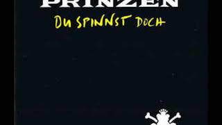 Die Prinzen - Du spinnst doch (Radio-Mix)