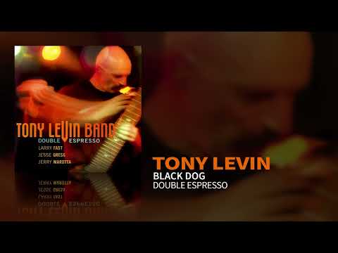 Tony Levin -  Black Dog (Double Espresso, 2002)