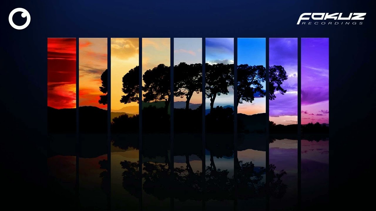 Evasion - Reflections