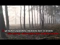 Lennye Jarung Karaoke Version Cipta Fadhly Patiroy