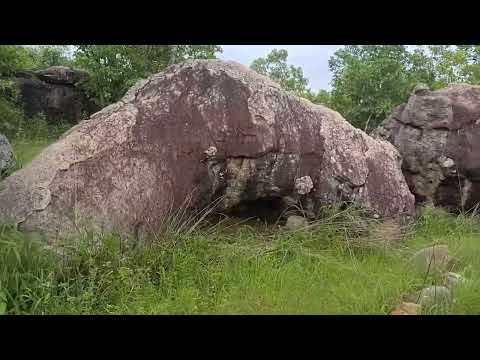 Manjinder Rog garden .gufa.2025,,