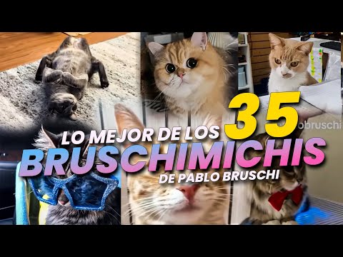 THE BEST OF THE BRUSCHIMICHIS 35 - PABLO BRUSCHI