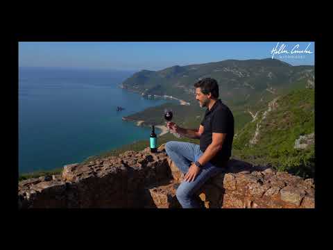 Na Terra do Vinho | Vinho de Setúbal | Hélder Cunha Winemaker - Powered by Casca Wines