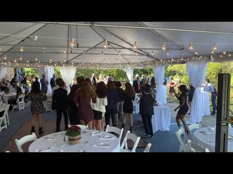 watch Bar Mitzvah dancer lead 40 kids to the Cupid Shuffle by herself