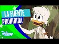Patoaventuras La Fuente Prohibida Disney Channel Oficial
