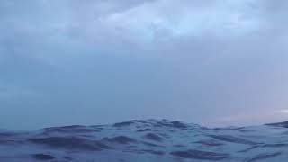 Il peso del Coraggio  Fiorella Mannoia