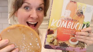 How to BREW YOUR OWN KOMBUCHA | how to MAKE KOMBUCHA at home | Kombucha Tea