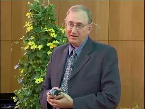 Prof.Dr. Walter Veith - Risikofaktor Milch - ein Mythos zerbricht