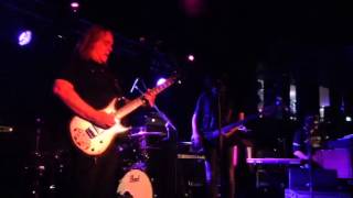 Gov't Mule - No Reward