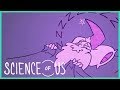 The Good Side of Bad Dreams: "The Science of Us" Episode 2