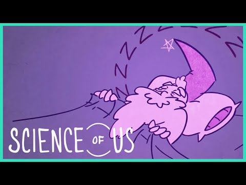 又做惡夢了嗎？原來惡夢不是壞的！(The Good Side of Bad Dreams: "The Science of Us" Episode 2)