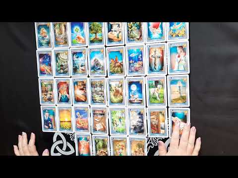 Highlights der Woche, ab dem 12.12