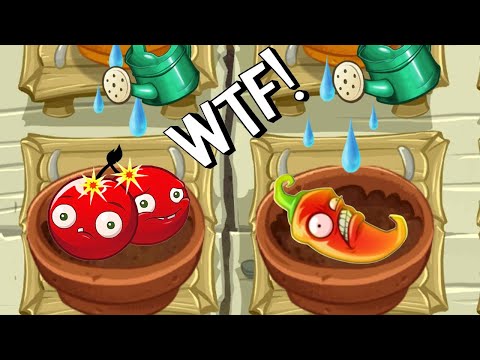 All Animation Bomb Plants In Zen Garden - Plants Vs Zombies 2