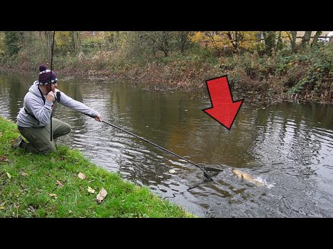 Hunting Down the Elusive Urban Canal Carp (Late Autumn)