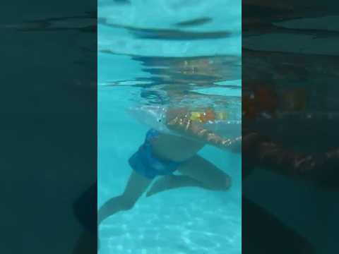 Gino filmado desde adentro del agua en la pileta Ituzaingó Provincia de Buenos 7/2/26