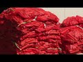 60.000 kilo Flevolandse producten onderweg naar Oekraïne