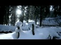 Merle Haggard~ Roses in The Winter-"---God Speed Merle"