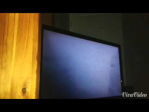 scp B "Putain de citrouille"