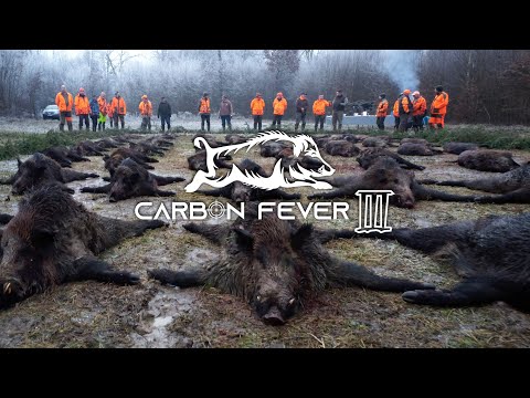 CARBON FEVER III - wildboar drivenhunt | Drückjagd
