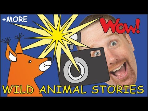Wild Animal Stories for Kids | Magic Animals from Steve and Maggie | Story for Kids | Wow English TV