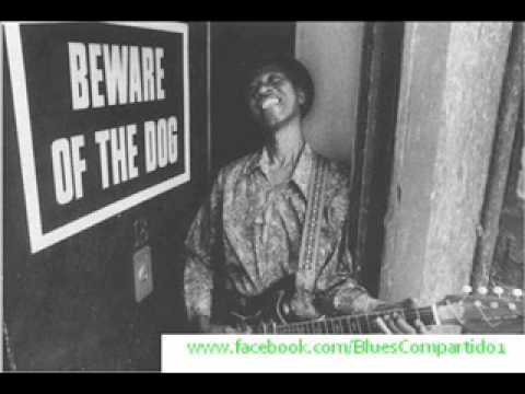 Hound Dog Taylor - Ann Arbor Blues Festival, 1973