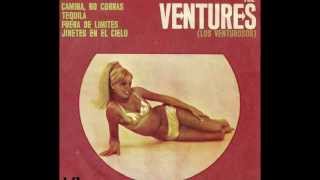 THE VENTURES - Riders on the Sky
