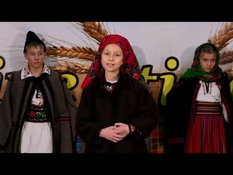 Maria Avadanei - Colind - Dinaintea istor curți #colind 