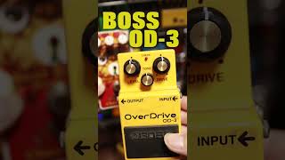 Video thumbnail for BOSS OD-3とChou Chou Bear Berryの違い🎸#bossod3 #chouchou #guitarpedals #stratocaster by 77式リアルチャンネル